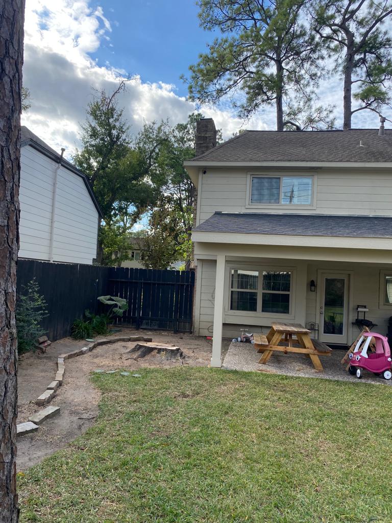 fresh tree stump next to house