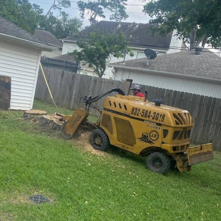 tree stump grinding